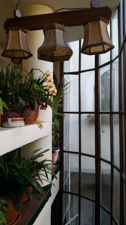 Bed and Breakfast Vila Monica Тыргу-Муреш Экстерьер фото