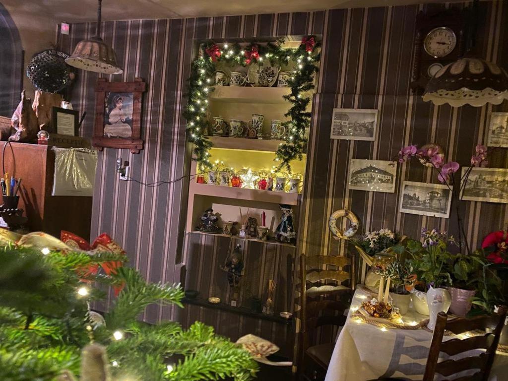 Bed and Breakfast Vila Monica Тыргу-Муреш Экстерьер фото