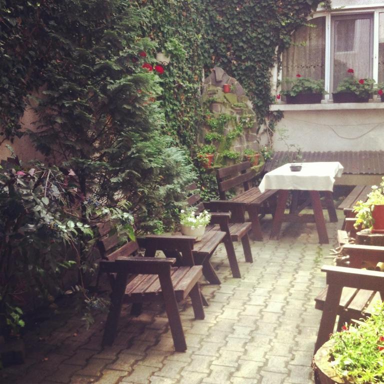 Bed and Breakfast Vila Monica Тыргу-Муреш Экстерьер фото